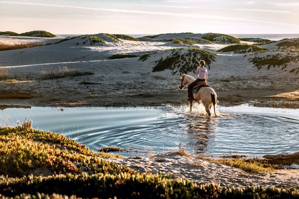 Peut-on trouver une location de vacances en Bretagne avec des cours de cuisine et des balades à cheval?